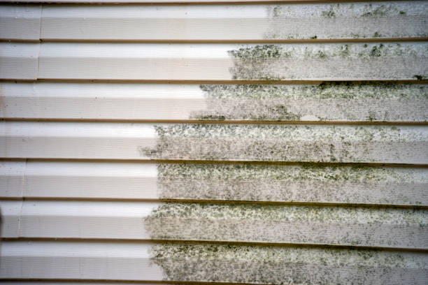 Best Basement Cleanout  in Colusa, CA